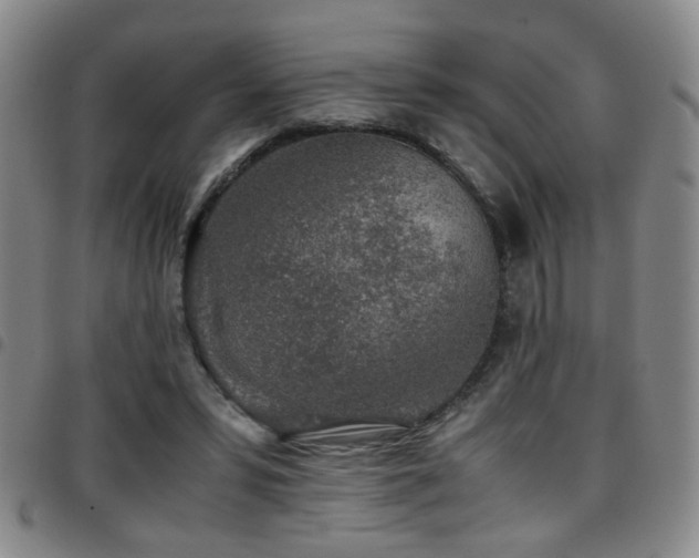 X0000097900399200803141359