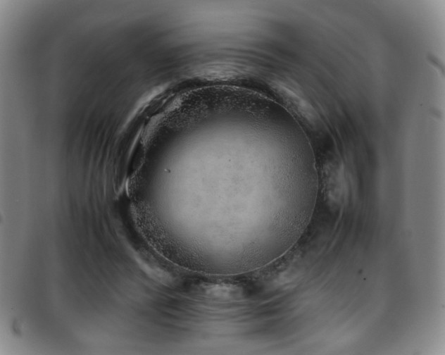 X0000097900400200803141359