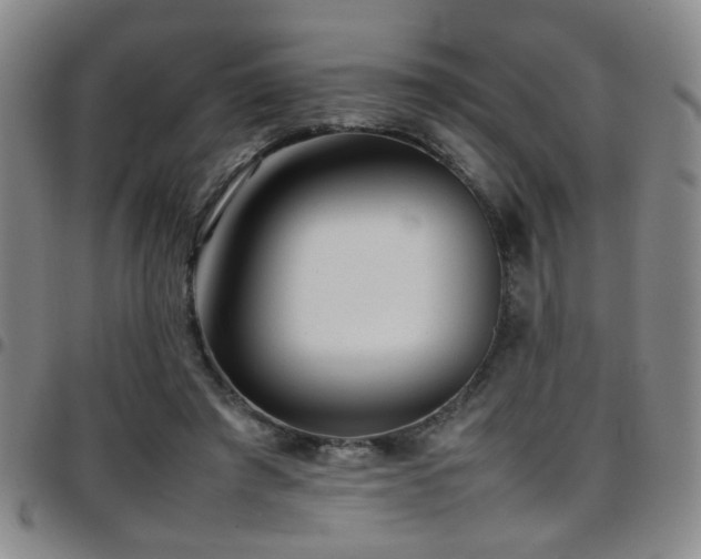 X0000097900401200803141359