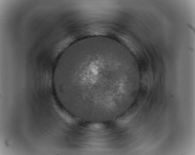 X0000097900402200803141359