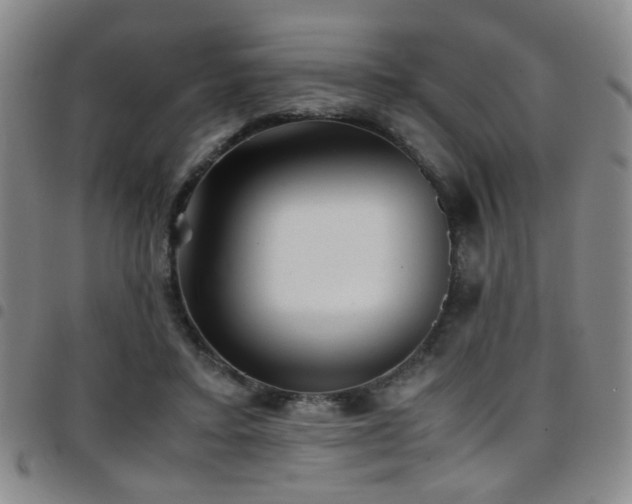 X0000097900403200803141359