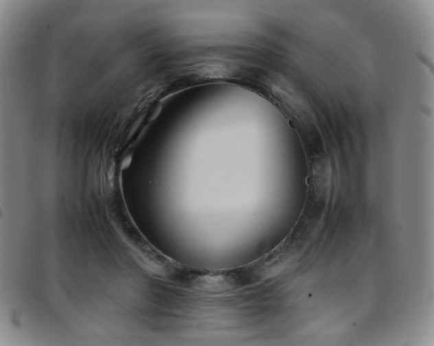 X0000097900406200803141359