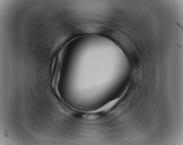 X0000097900407200803141359