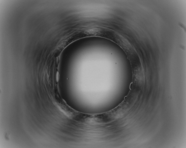 X0000097900408200803141359