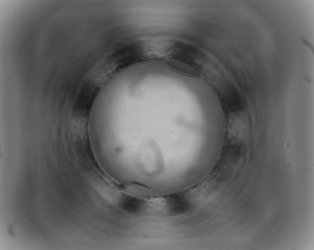 X0000097900409200803141359