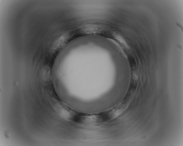 X0000097900411200803141359