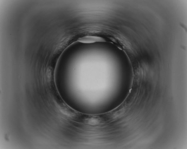 X0000097900412200803141359