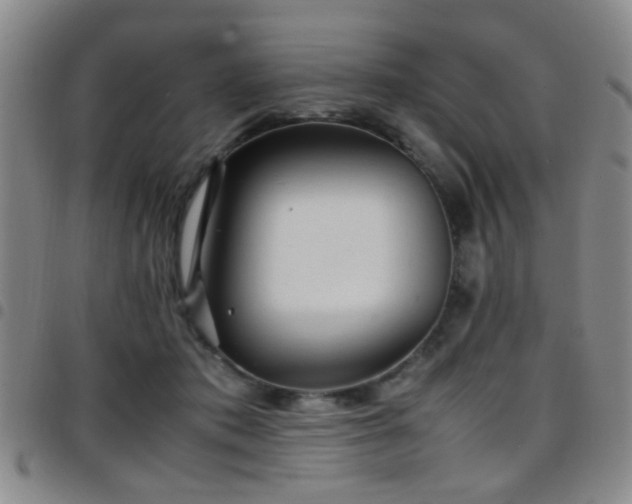 X0000097900413200803141359