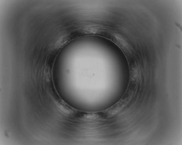 X0000097900414200803141359