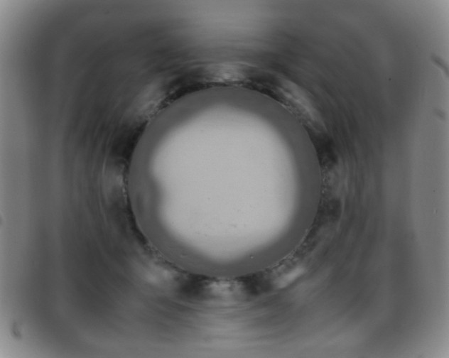 X0000097900415200803141359