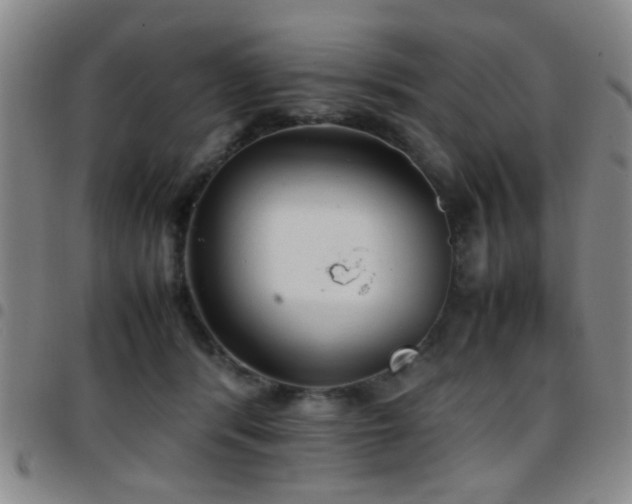 X0000097900416200803141359