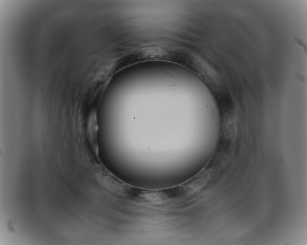 X0000097900417200803141359