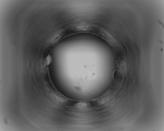 X0000097900418200803141359