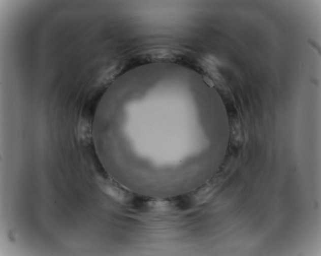 X0000097900419200803141359