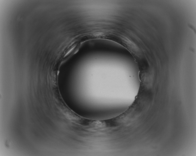 X0000097900421200803141359