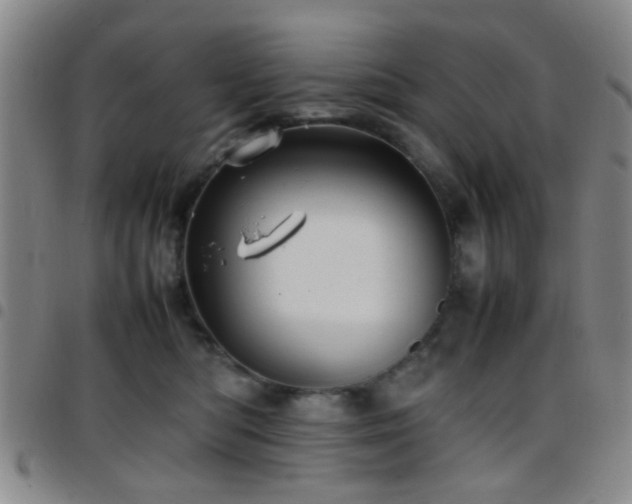 X0000097900422200803141358