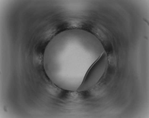 X0000097900423200803141358