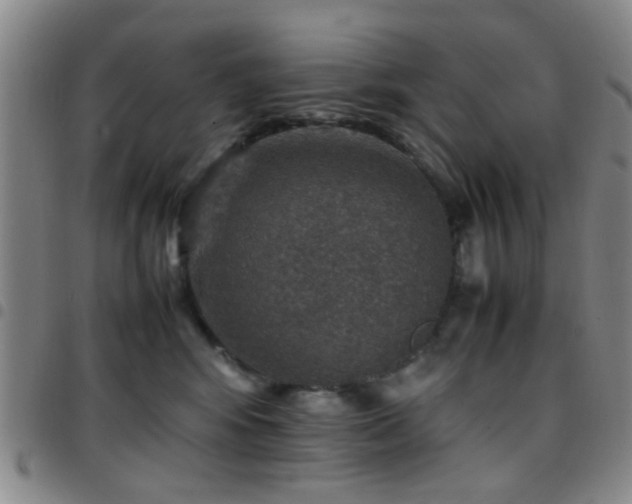 X0000097900424200803141358