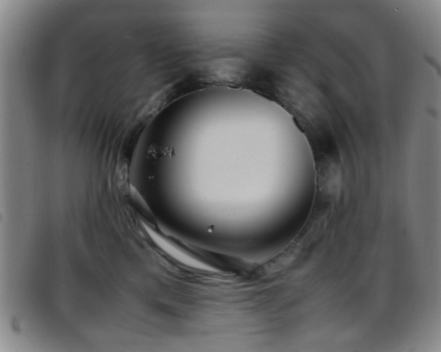 X0000097900425200803141358