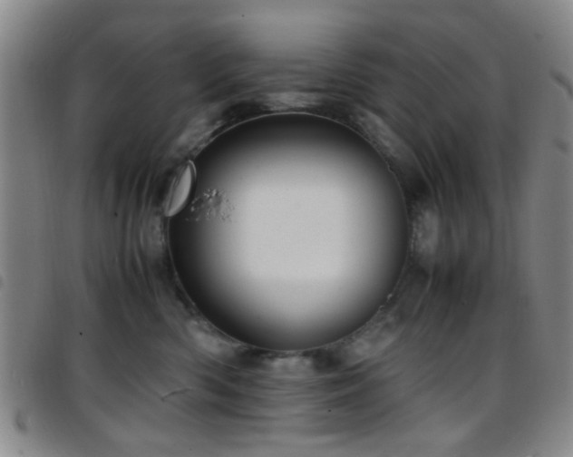 X0000097900426200803141358