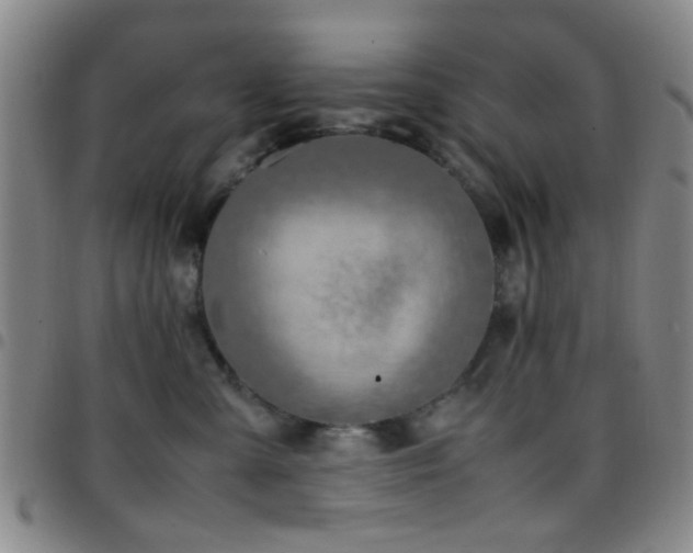 X0000097900427200803141358