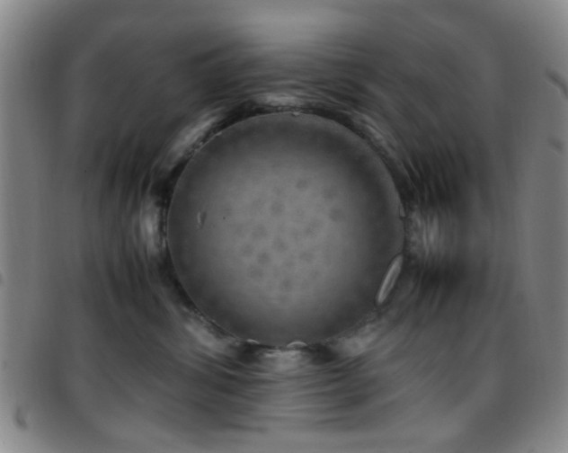 X0000097900428200803141358