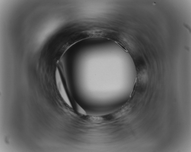 X0000097900429200803141358