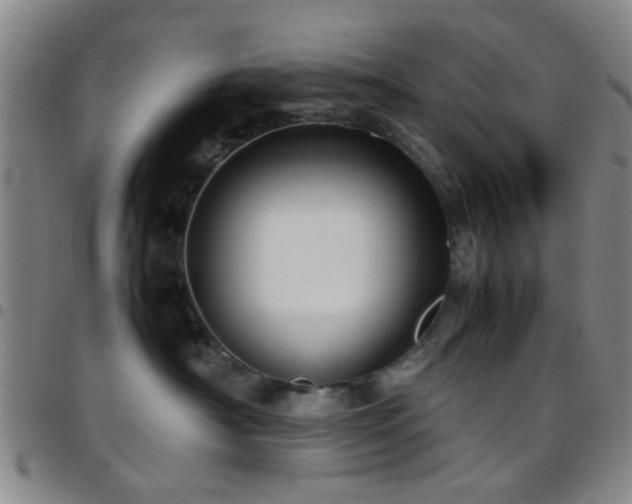 X0000097900430200803141358