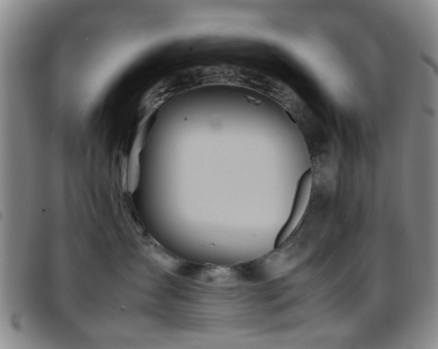 X0000097900431200803141358