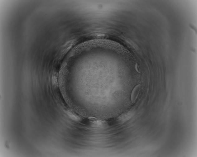 X0000097900432200803141358