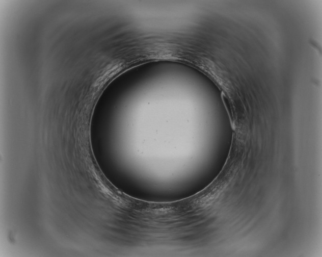 X0000097900433200803141358