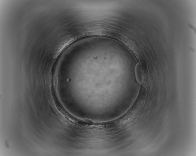 X0000097900434200803141358