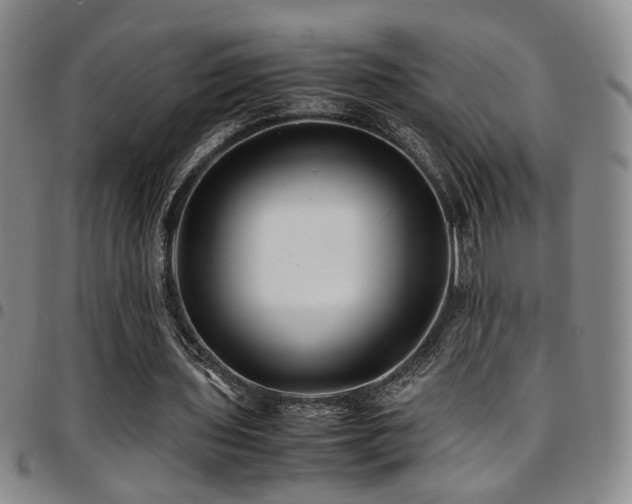 X0000097900435200803141358