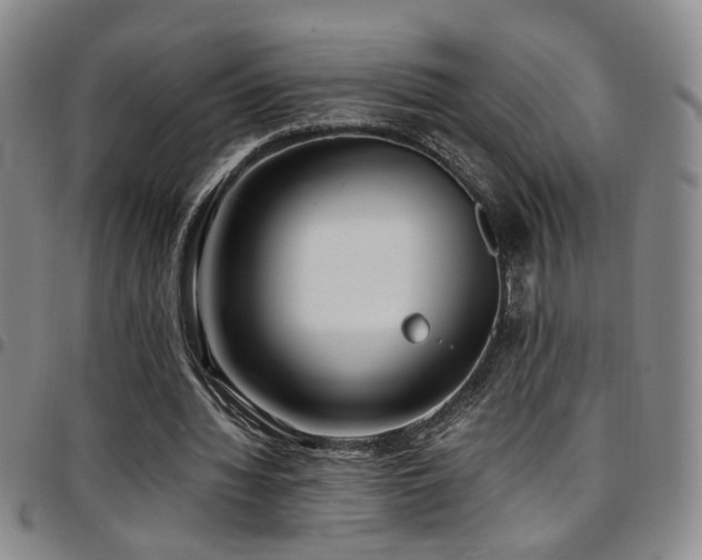 X0000097900436200803141358