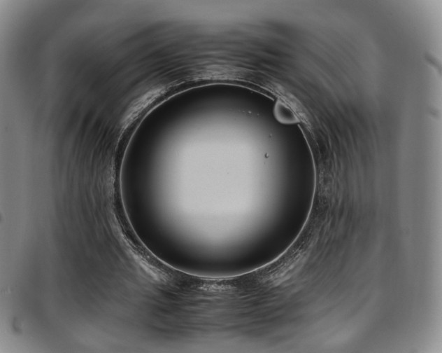 X0000097900437200803141358