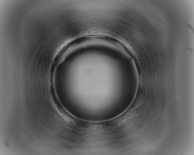 X0000097900438200803141358