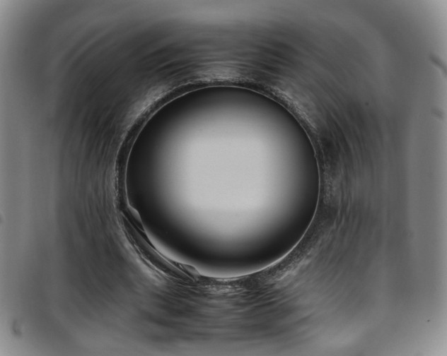 X0000097900439200803141358