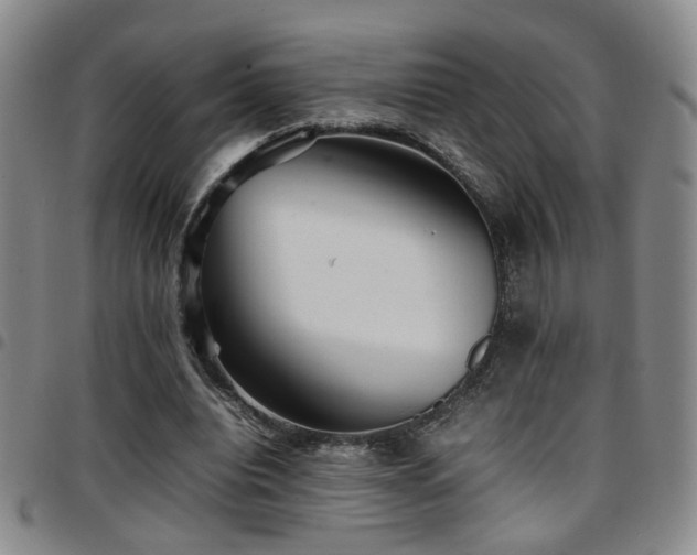 X0000097900440200803141358