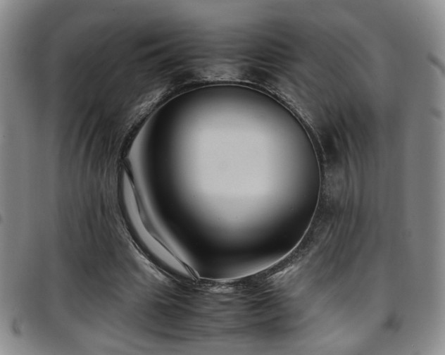 X0000097900441200803141358