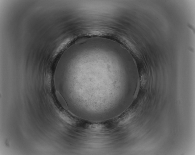 X0000097900444200803141358