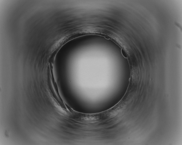 X0000097900445200803141358