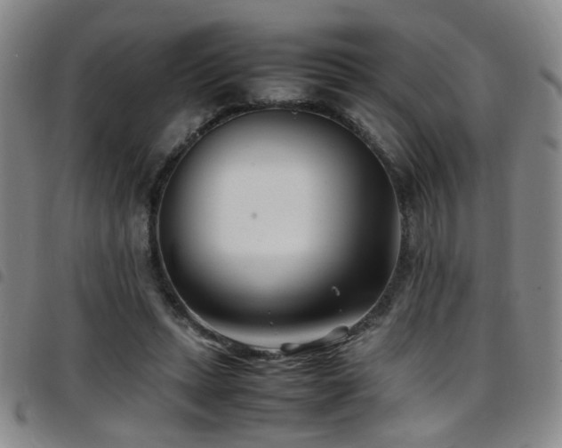 X0000097900447200803141358