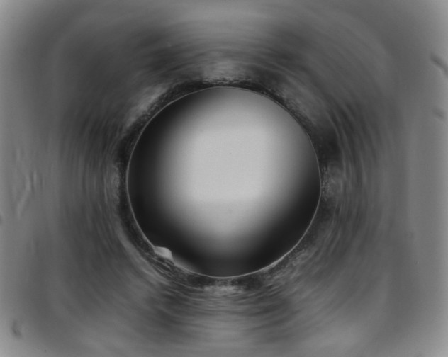 X0000097900448200803141358