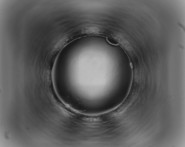 X0000097900449200803141358