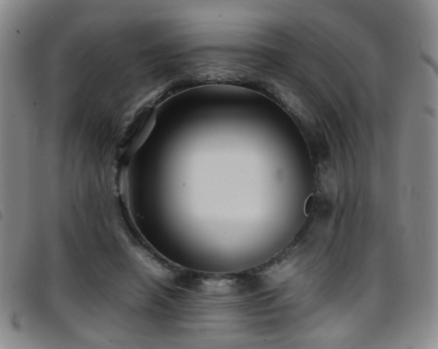 X0000097900450200803141358