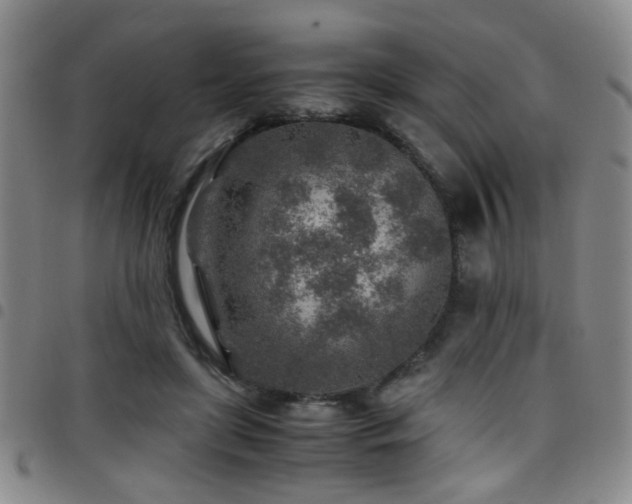 X0000097900451200803141358