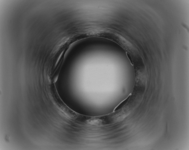 X0000097900452200803141358