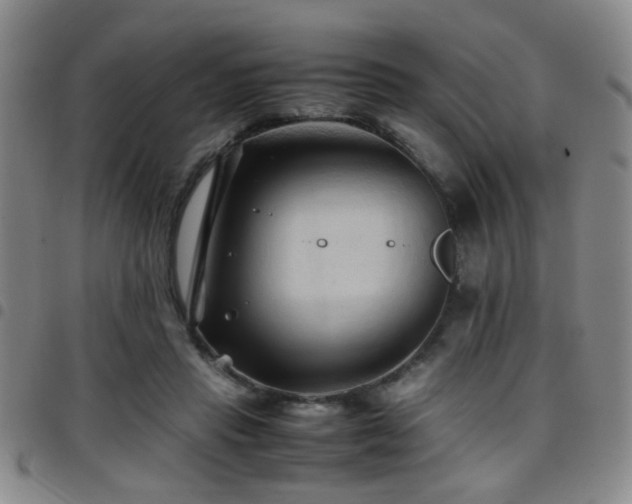 X0000097900453200803141358