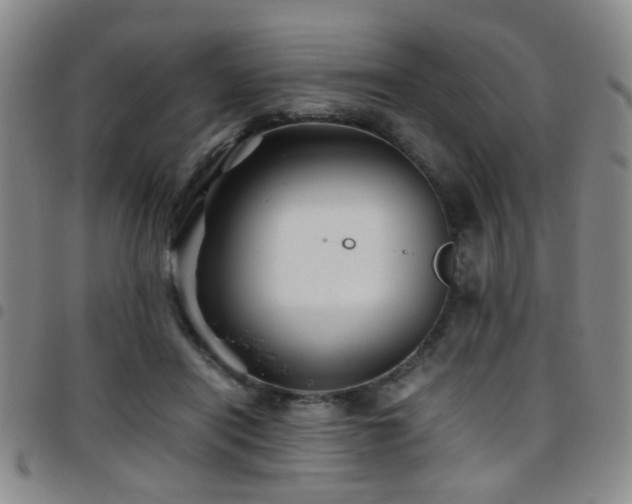 X0000097900454200803141358