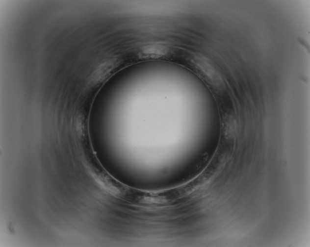 X0000097900455200803141358